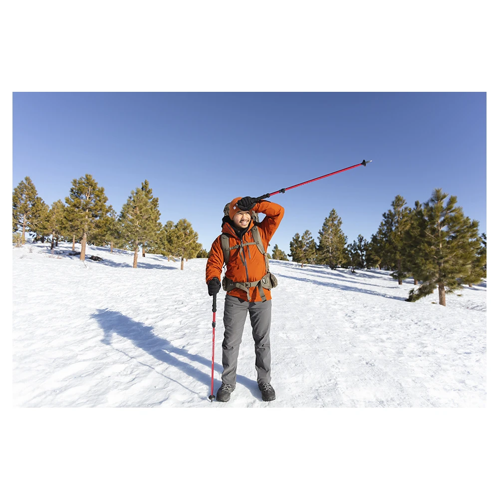 Alps Mountaineering Conquest Trekking Pole 10 Alps Mountaineering Conquest Trekking Pole - Image 10