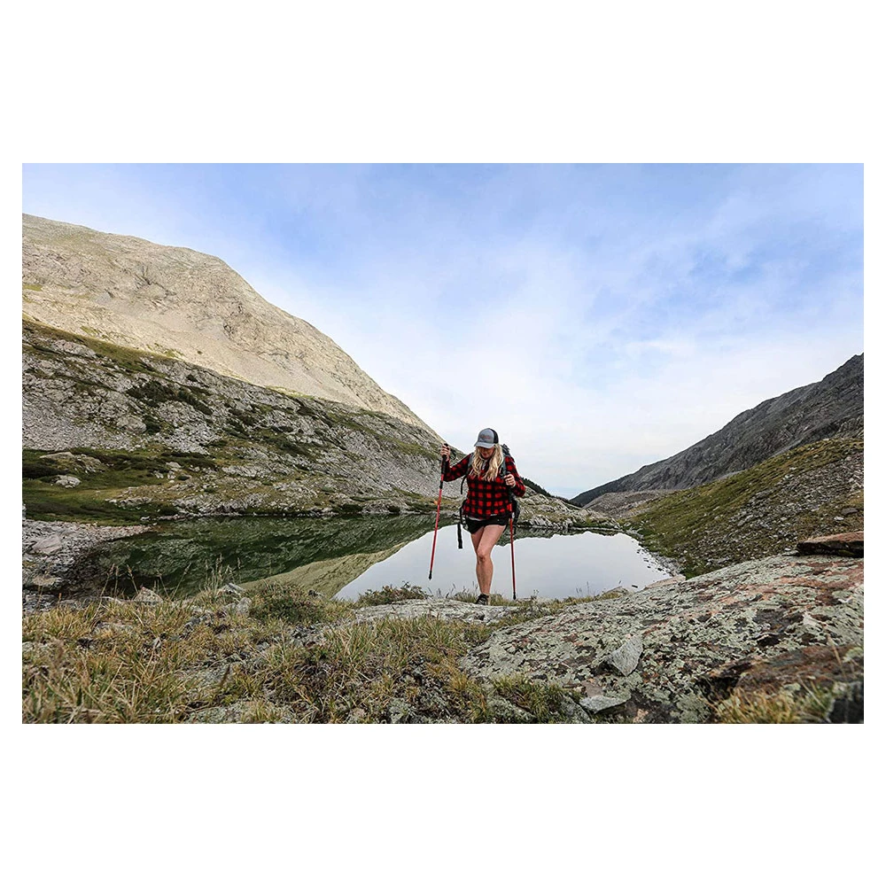 Alps Mountaineering Conquest Trekking Pole 9 Alps Mountaineering Conquest Trekking Pole - Image 9