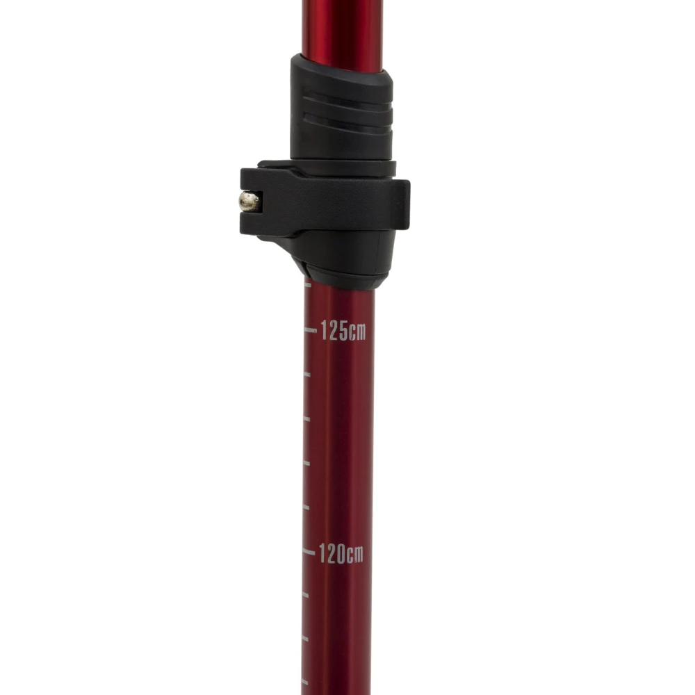 Alps Mountaineering Conquest Trekking Pole 4 Alps Mountaineering Conquest Trekking Pole - Image 4