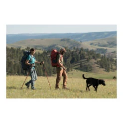 Alps Mountaineering Conquest Trekking Pole 16 Alps Mountaineering Conquest Trekking Pole -Alps Mountaineering Adventure Outlet Store conquest trekking poles B0784692DC PT06