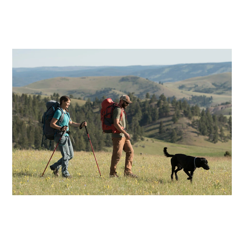 Alps Mountaineering Conquest Trekking Pole 7 Alps Mountaineering Conquest Trekking Pole - Image 7