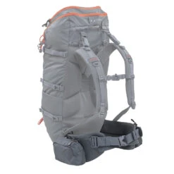 Alps Mountaineering Canyon 55 Waist Belt