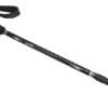 ALPS Mountaineering Explorer Trekking Pole