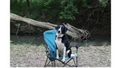 ALPS Mountaineering Leisure Chair -Alps Mountaineering Adventure Outlet Store opplanet alps mountaineering leisure chair teal 8151928 av 7