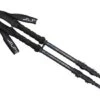 ALPS Mountaineering Momentum 2-Pack Trekking Poles
